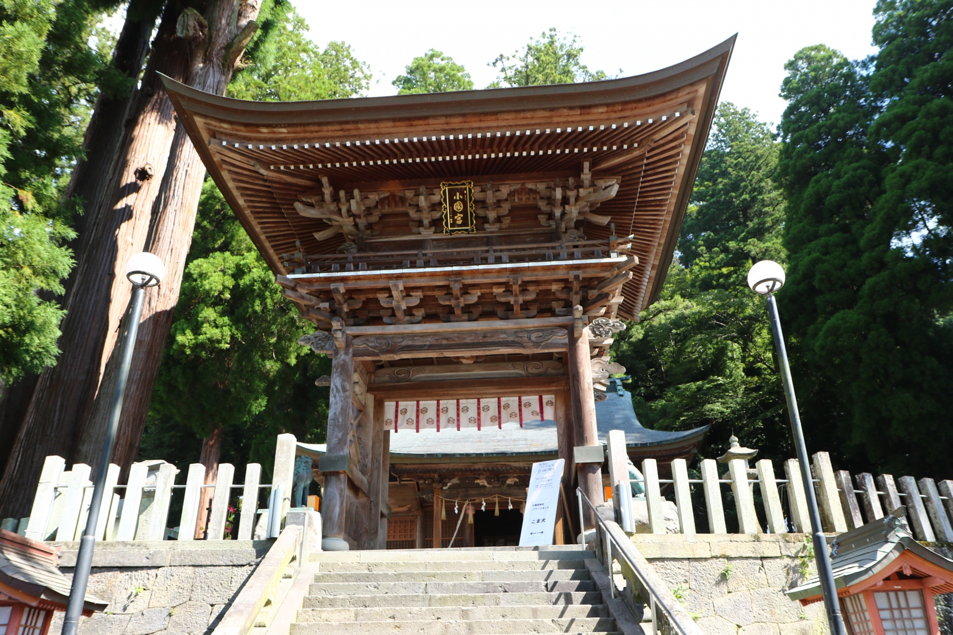 熊本県金運アップ神社！最強おすすめ・人気・評判の財運上昇の強力パワースポット！宝くじ当選・事業成功・借金返済・玉の輿・商売繁盛のご利益