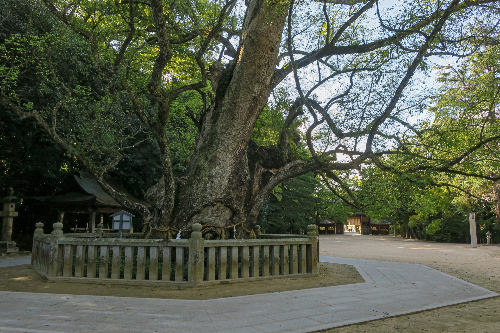愛媛県金運神社！最強おすすめ・人気・評判の財運上昇アップの強力パワースポット！宝くじ当選・事業成功・借金返済・玉の輿のご利益