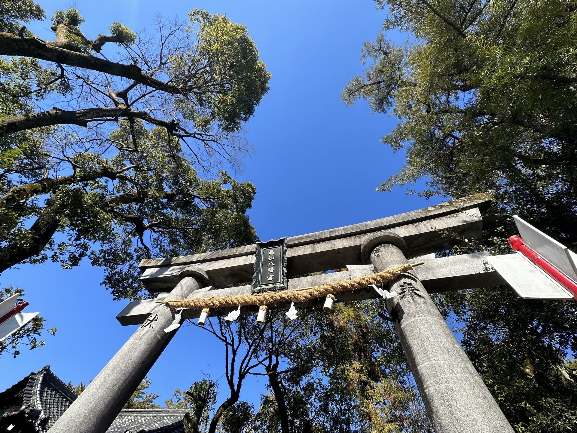 高知県金運神社！最強おすすめ・人気・評判の財運上昇アップの強力パワースポット！宝くじ当選・事業成功・借金返済・玉の輿・商売繁盛のご利益