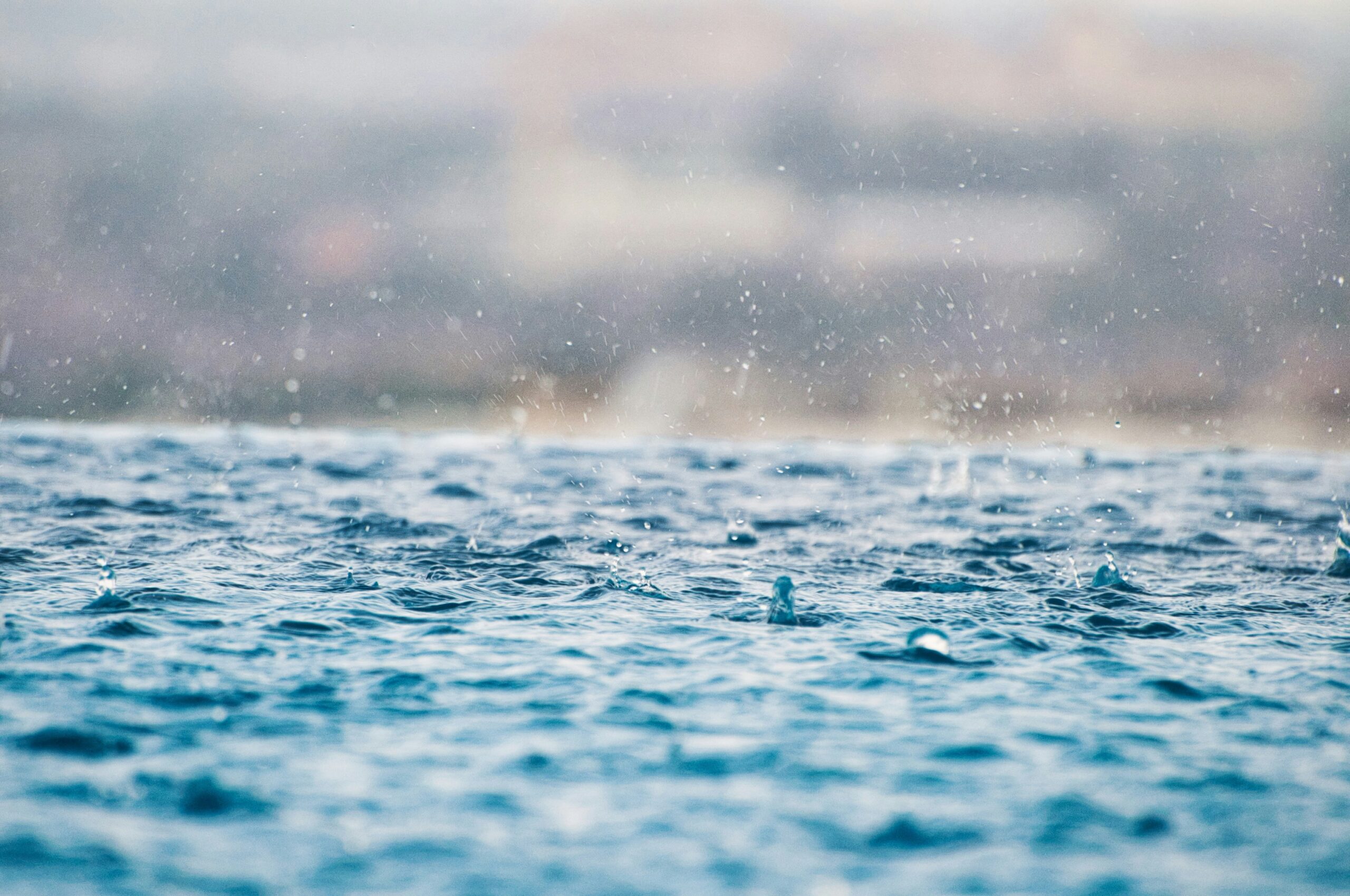 生き物の力や神様の力を利用する！雨を降らせる方法とは？