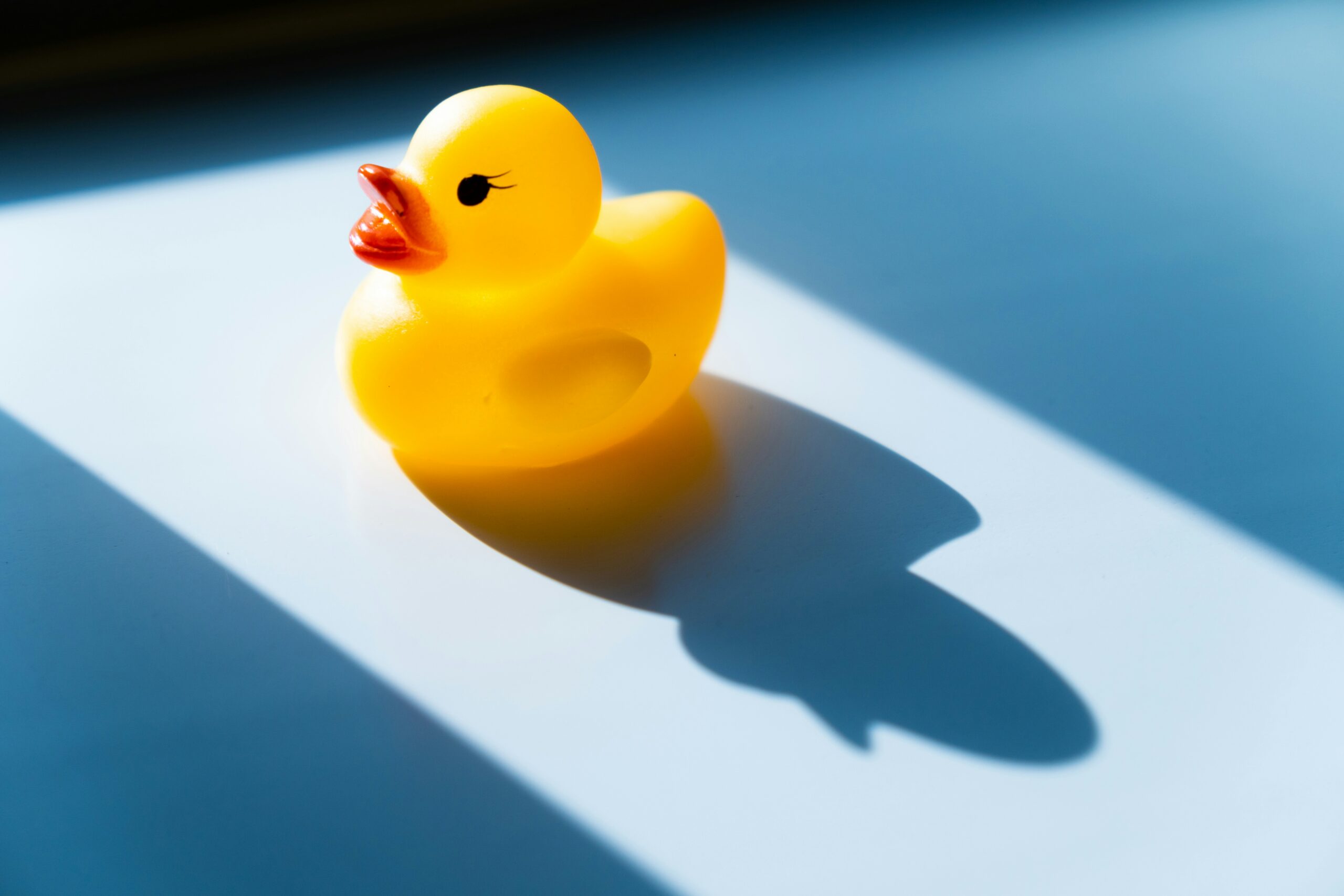 夢占いでアヒルの夢の意味とは？吉夢それとも悪夢？アヒルの夢占いは？飼う、元気、鳴き声、うるさい、付いてくる、孵化、噛まれる