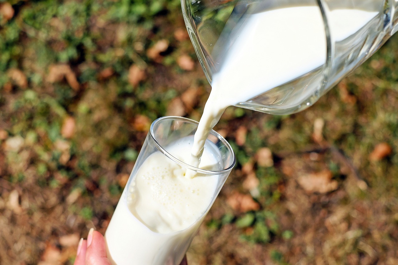 突然牛乳が飲みたくなる理由とは？スピリチュアルな意味を深掘り