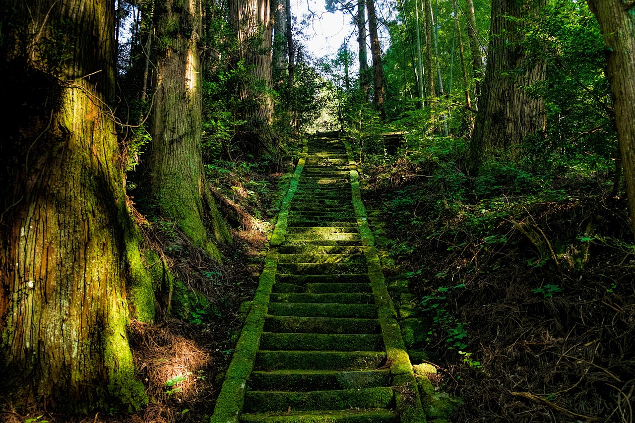 氏神様とは何か - あなたの身近な守り神について知ろう